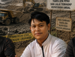 FELITA: PT SMM Diduga Lakukan Aktivitas Pertambangan Tanpa IPPKH dan Lalai Terhadap AMDAL